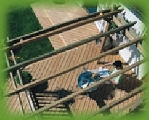 barton_timber_2009020.jpg